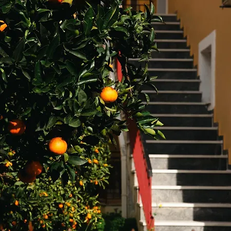 Levante Appart hôtel Benitses (Corfu)